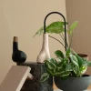 Selvvanding^PLANT Straws, sort