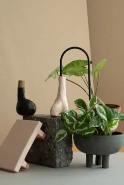 Selvvanding^PLANT Straws, sort