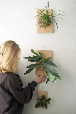 Plantetrofæer^PLANT etrofæ, Hjortetak, large