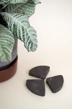 Frø, Spiring Og Altanliv|Pottefødder Og Filtdutter^PLANT Pottefødder, grå
