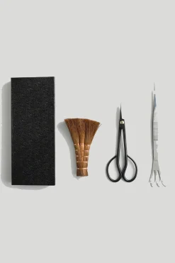 Plantepleje-Kits|Plantepleje-Kits^PLANT Pro Bonsai starter kit