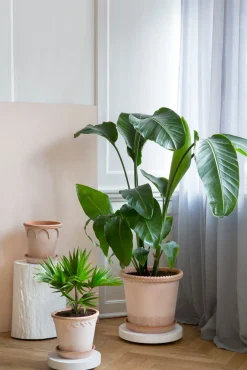 Pottefødder Og Filtdutter^PLANT Rolling stones - rulleplade til gulver