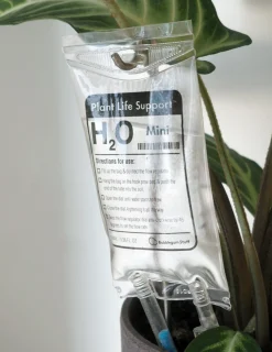 Selvvanding^PLANT Selvvandende Life support, lille