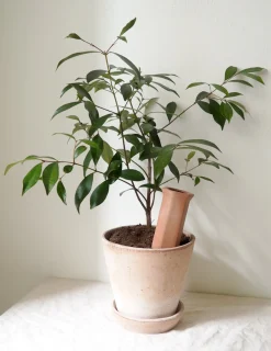 Selvvanding^PLANT Selvvandingscylinder