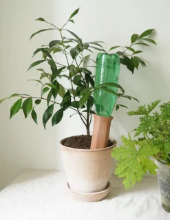 Selvvanding^PLANT Selvvandingscylinder
