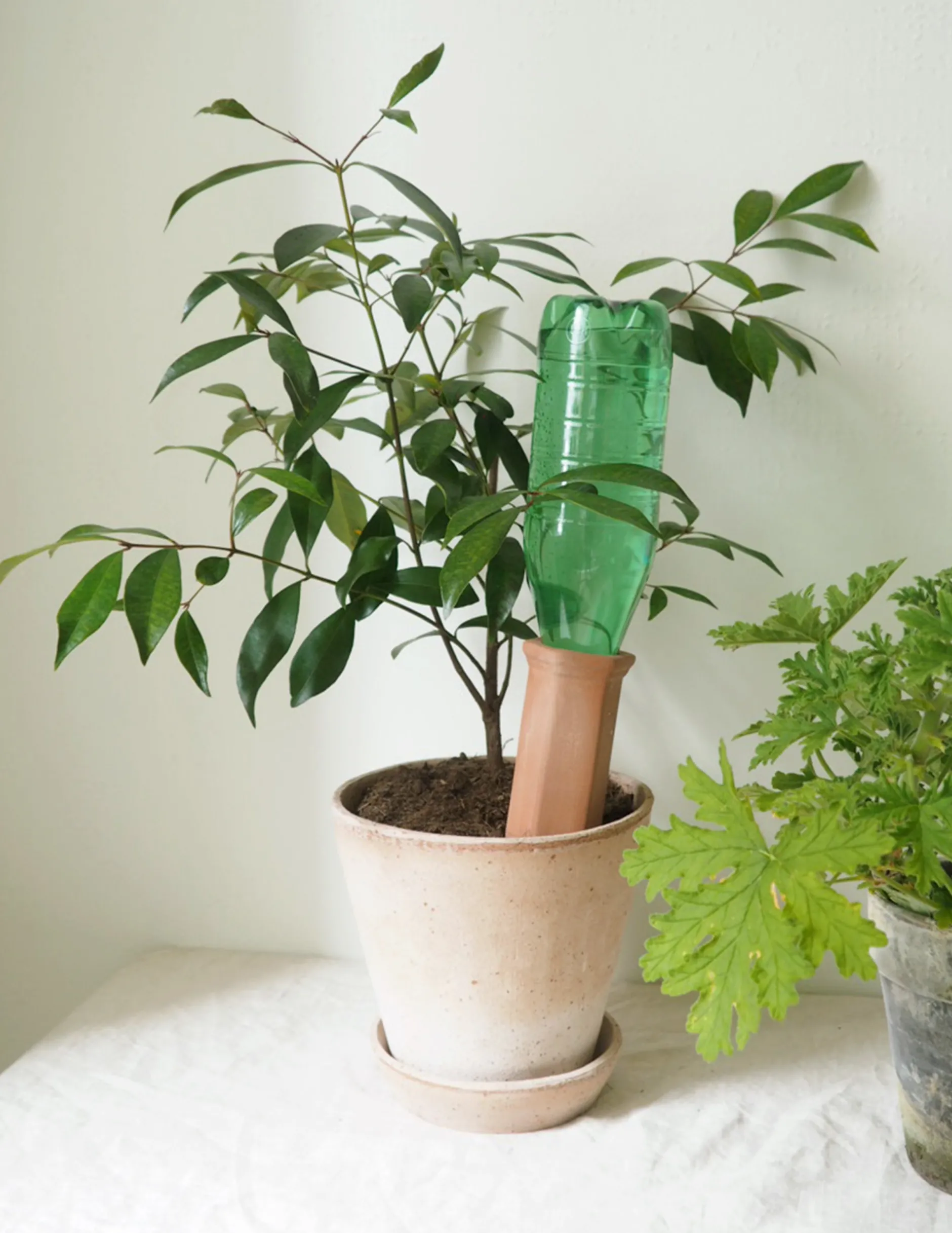 Selvvanding^PLANT Selvvandingscylinder