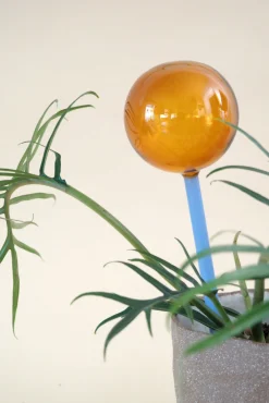 Selvvanding^PLANT Selvvandingsglas - Amber/Blå