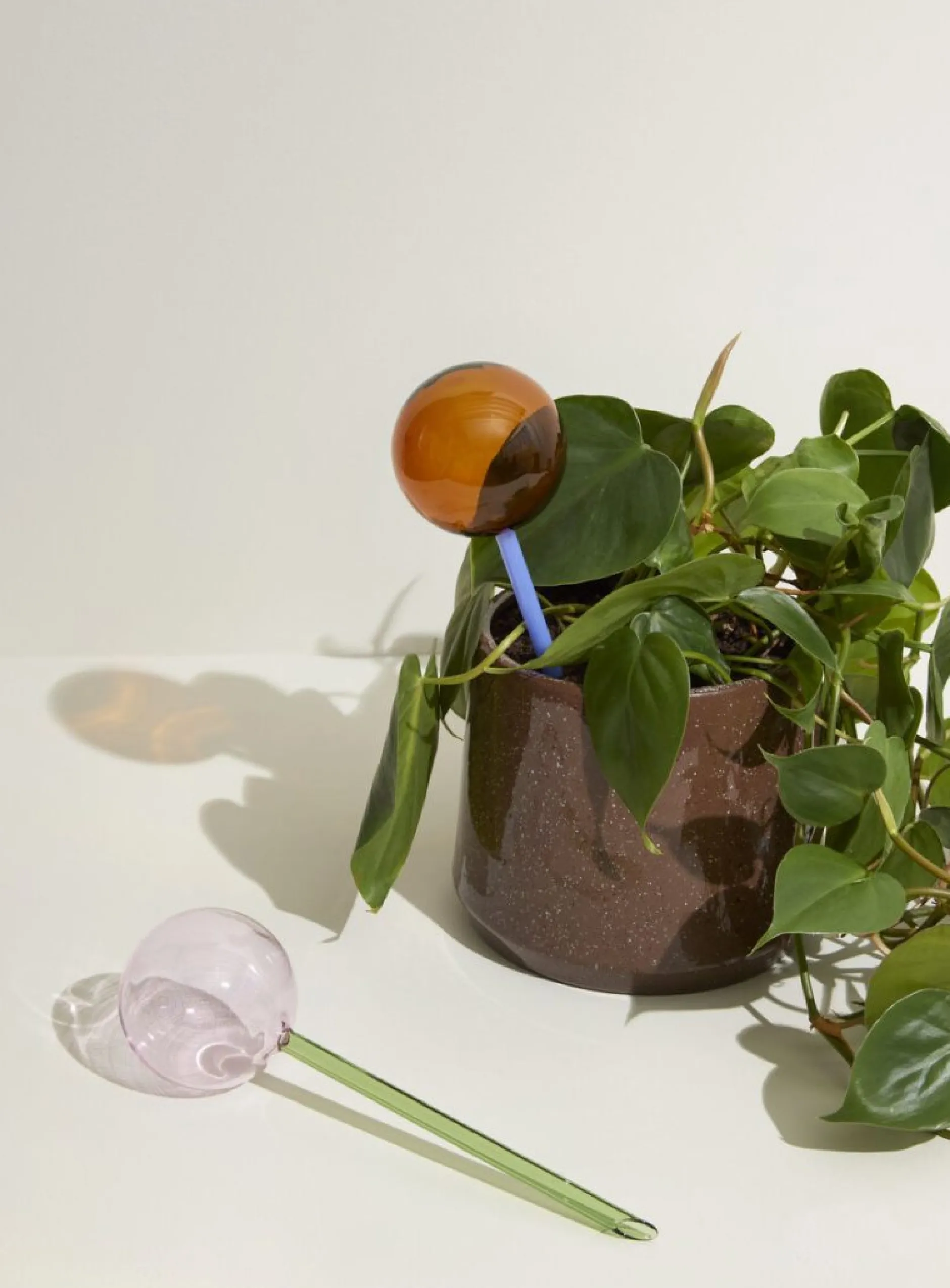 Selvvanding^PLANT Selvvandingsglas - Amber/Blå