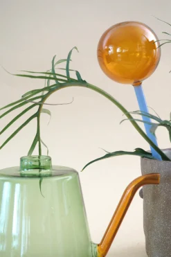 Selvvanding^PLANT Selvvandingsglas - Amber/Blå