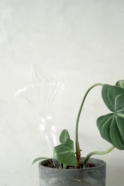 Selvvanding^PLANT Selvvandingsglas, diamond