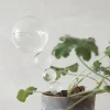 Selvvanding^PLANT Selvvandingsglas, dot