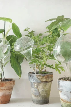 Selvvanding^PLANT Selvvandingsglas, dot