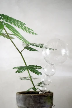 Selvvanding^PLANT Selvvandingsglas, double dot