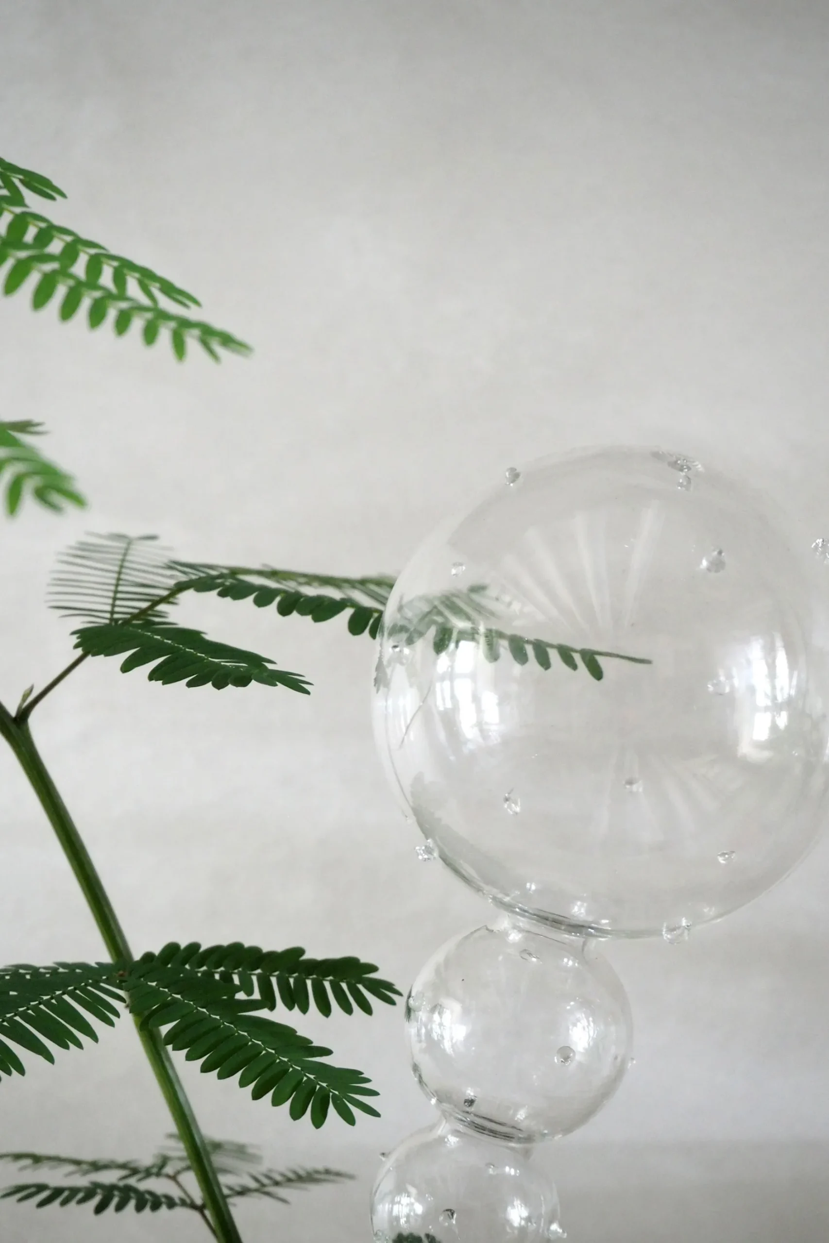 Selvvanding^PLANT Selvvandingsglas, double dot
