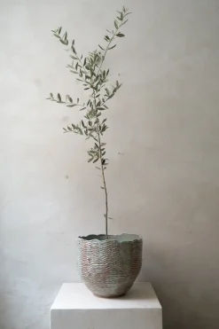 Håndlavede Krukker|Stor^PLANT StineMei - Wood blue