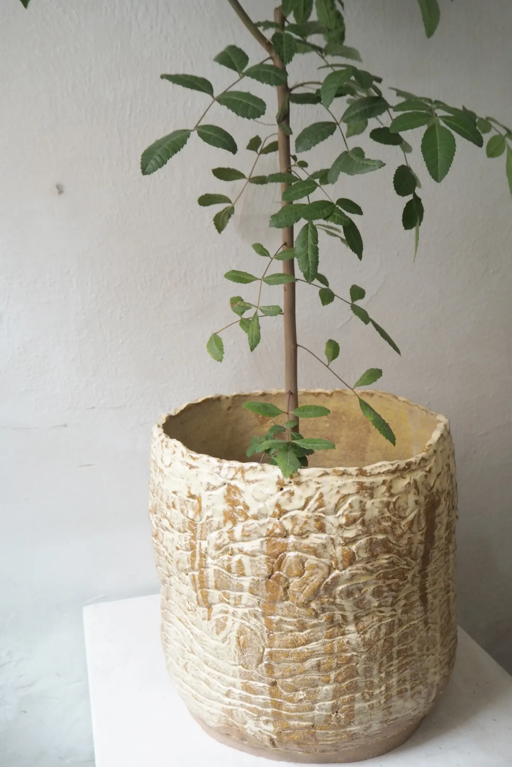 Håndlavede Krukker^PLANT StineMei - Wood Yellow