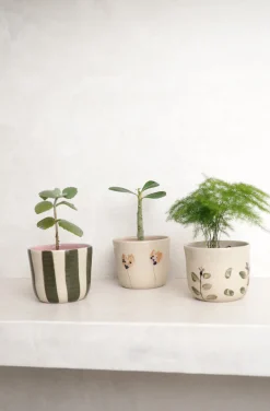 Håndlavede Krukker|Lille^PLANT StineMei ekop - Stribet grøn