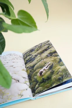 Bøger Og Kort^PLANT Strange s