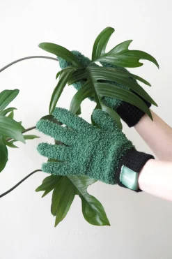 Plantepleje Og Skadedyr^PLANT Støvhandsker