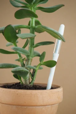 Fugtmålere^PLANT SUSTEE vand'o'meter