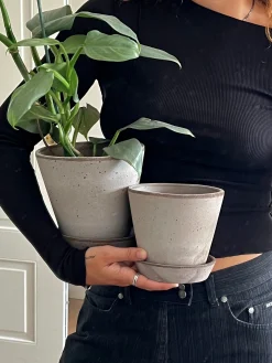 Frø, Spiring Og Altanliv|Terrakotta-Krukker^PLANT Terracotta krukke - grå