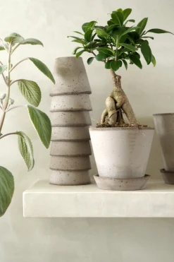 Frø, Spiring Og Altanliv|Terrakotta-Krukker^PLANT Terracotta krukke - grå