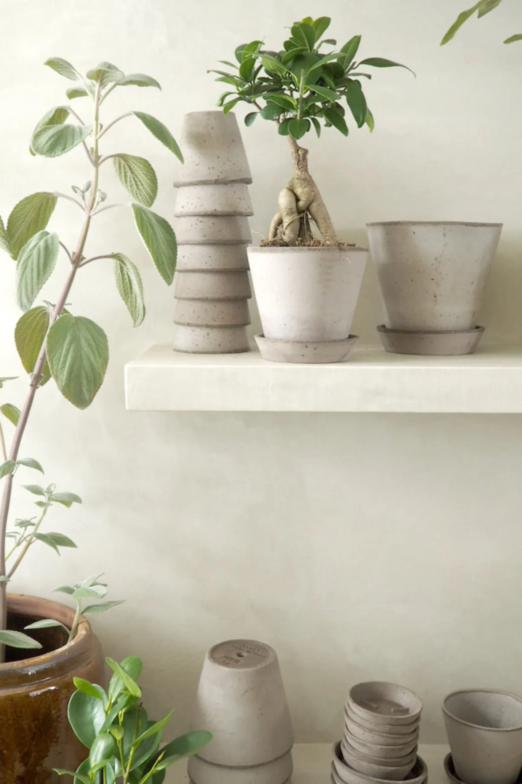 Frø, Spiring Og Altanliv|Terrakotta-Krukker^PLANT Terracotta krukke - grå