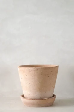 Frø, Spiring Og Altanliv|Terrakotta-Krukker^PLANT Terracotta krukke - rosa