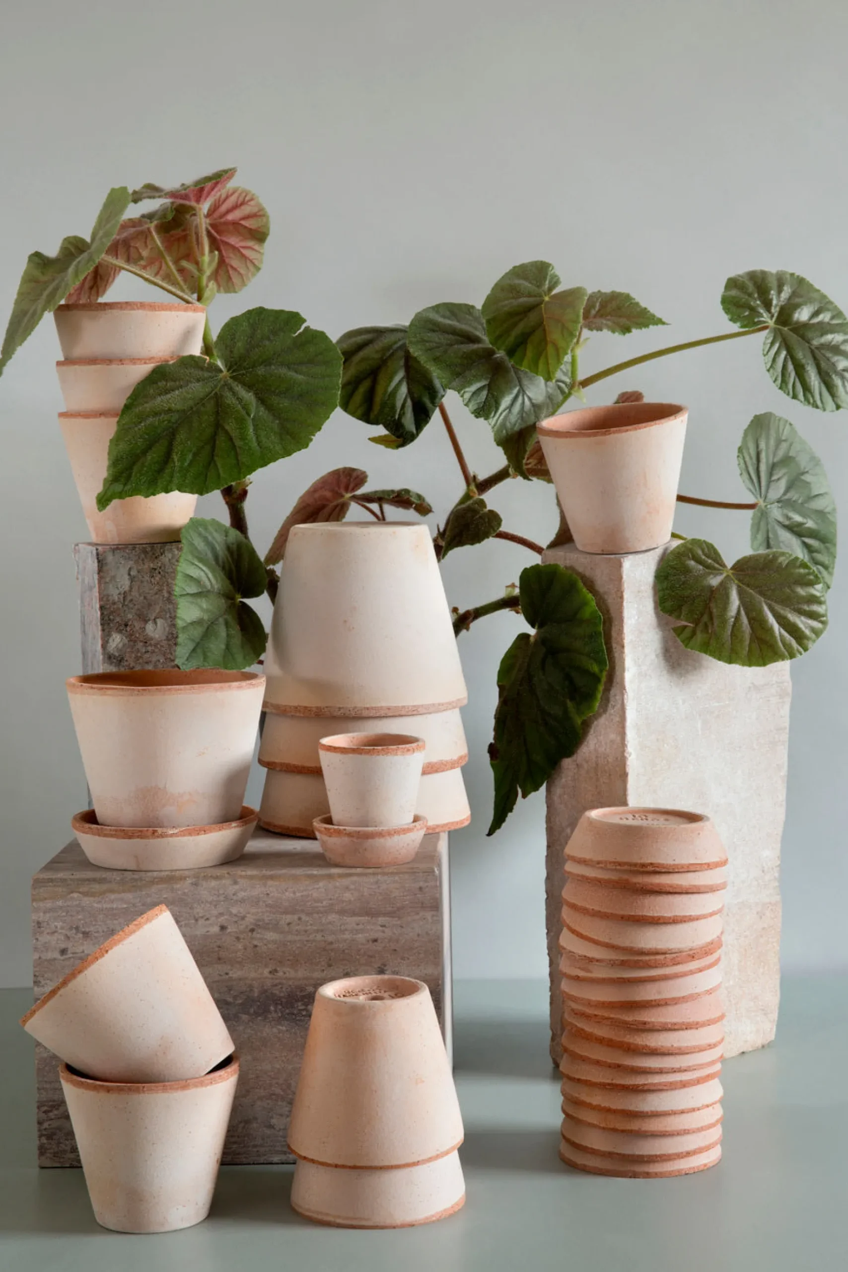 Frø, Spiring Og Altanliv|Terrakotta-Krukker^PLANT Terracotta krukke - rosa