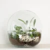 Planter Og Værktøj Til Terrarier|Håndskabte Terrarier^PLANT Terrarie no. 10