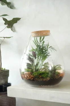 Planter Og Værktøj Til Terrarier|Håndskabte Terrarier^PLANT Terrarie no. 17