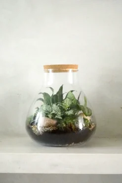 Planter Og Værktøj Til Terrarier|Håndskabte Terrarier^PLANT Terrarie no. 09