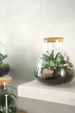 Planter Og Værktøj Til Terrarier|Håndskabte Terrarier^PLANT Terrarie no. 09