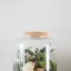 Planter Og Værktøj Til Terrarier|Håndskabte Terrarier^PLANT Terrarie no. 02