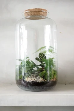 Planter Og Værktøj Til Terrarier|Håndskabte Terrarier^PLANT Terrarie no. 11