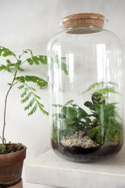 Planter Og Værktøj Til Terrarier|Håndskabte Terrarier^PLANT Terrarie no. 11