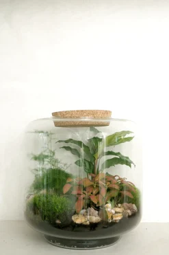 Planter Og Værktøj Til Terrarier|Håndskabte Terrarier^PLANT Terrarie no. 06