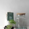 Planter Og Værktøj Til Terrarier|Terrarie Diy Kit^PLANT Terrariekit m. glas