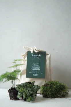 Planter Og Værktøj Til Terrarier|Terrarie Diy Kit^PLANT Terrariekit m. glas