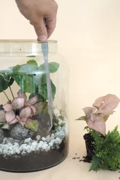 Planter Og Værktøj Til Terrarier|Planter Og Værktøj Til Terrarier^PLANT Terrariepincet