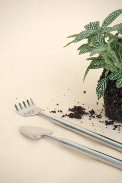 Planter Og Værktøj Til Terrarier|Planter Og Værktøj Til Terrarier^PLANT Terrarieværktøj