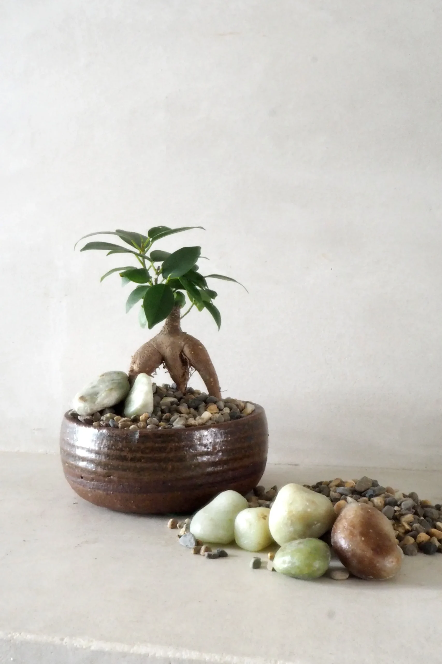 Topping Sten|Jord Og Omplantning^PLANT Topping sten - Natural