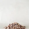Topping Sten|Jord Og Omplantning^PLANT Topping sten - Rosa