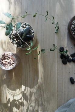 Topping Sten|Jord Og Omplantning^PLANT Topping sten - Rosa
