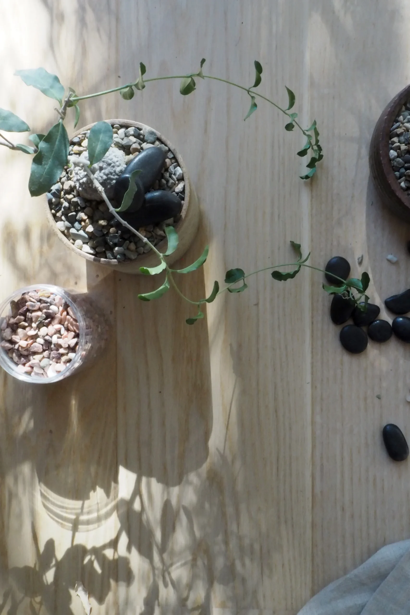 Topping Sten|Jord Og Omplantning^PLANT Topping sten - Rosa