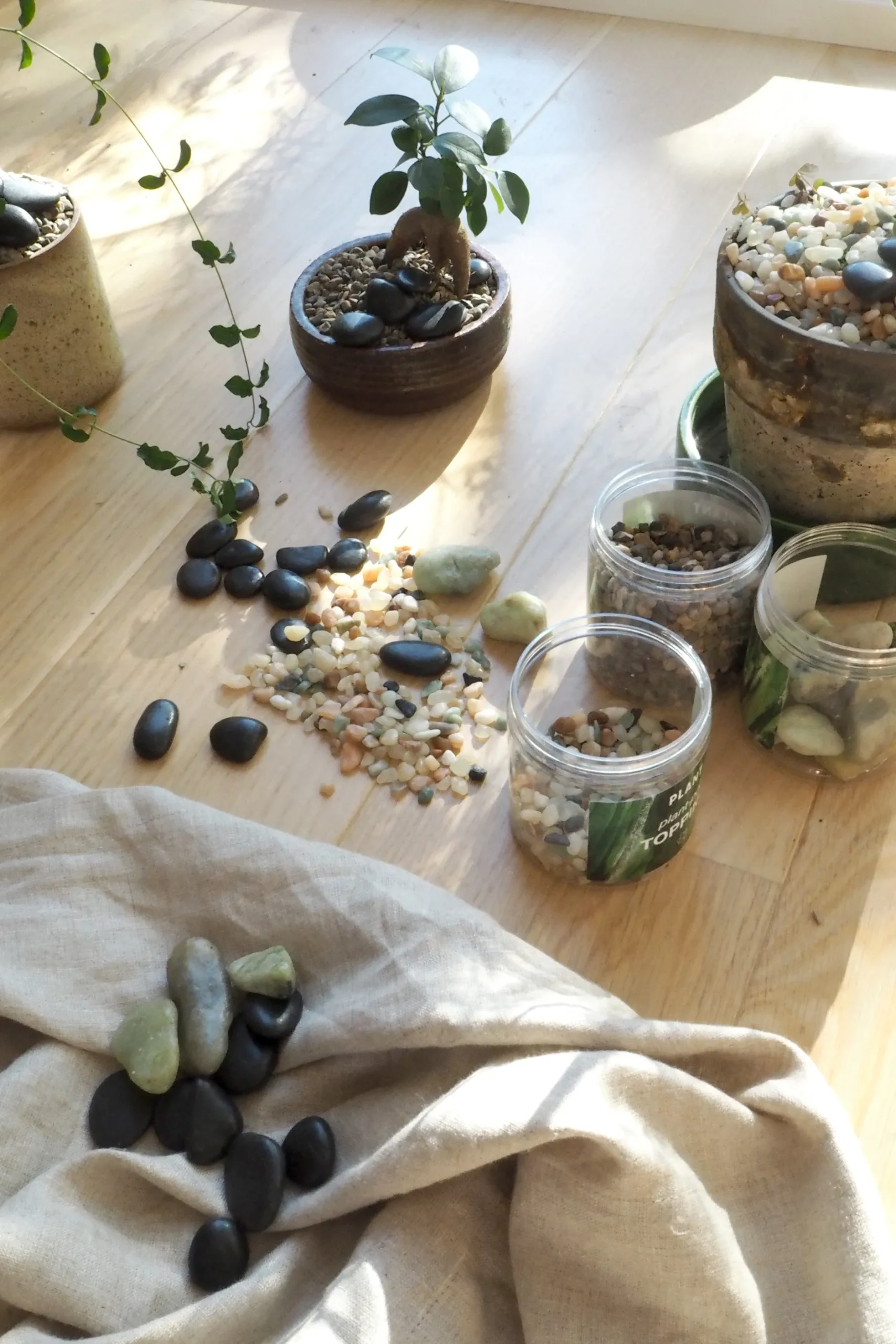 Topping Sten|Jord Og Omplantning^PLANT Topping sten - Sort