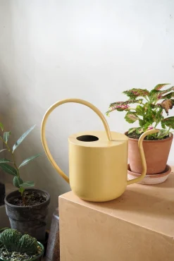 Vandkander^PLANT Vandkande, pale yellow