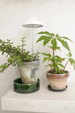 Plantelys Og Vækstlys^PLANT Vækstlampe, LED