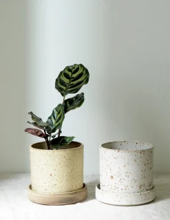 Håndlavede Krukker|Glaserede Krukker^PLANT V.O krukke - hvid, large