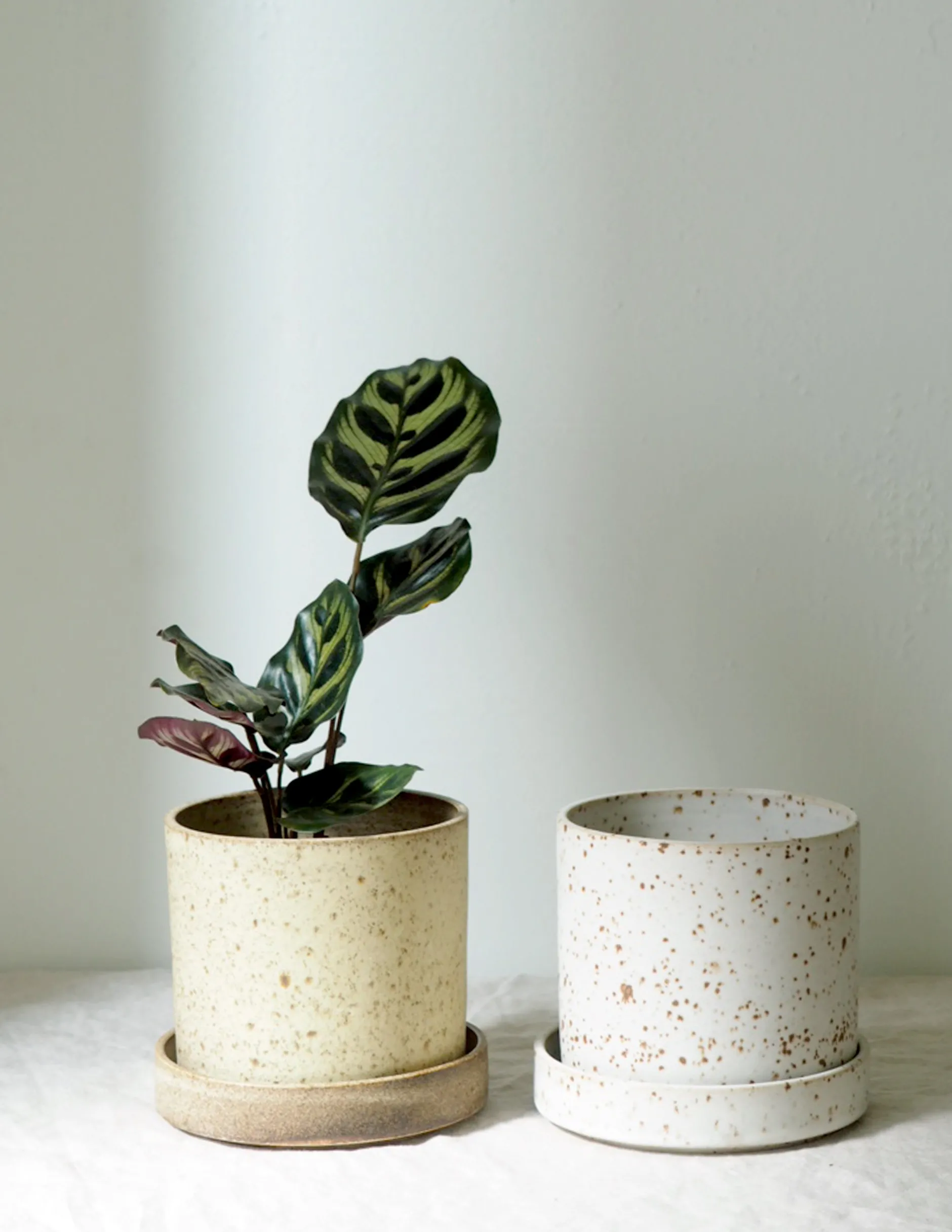 Håndlavede Krukker|Glaserede Krukker^PLANT V.O krukke - hvid, small